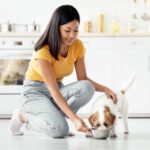 Pet food transparency and nutrition for dogs and pet parents