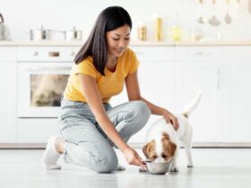 Pet food transparency and nutrition for dogs and pet parents