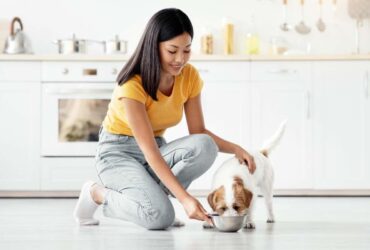 Pet food transparency and nutrition for dogs and pet parents