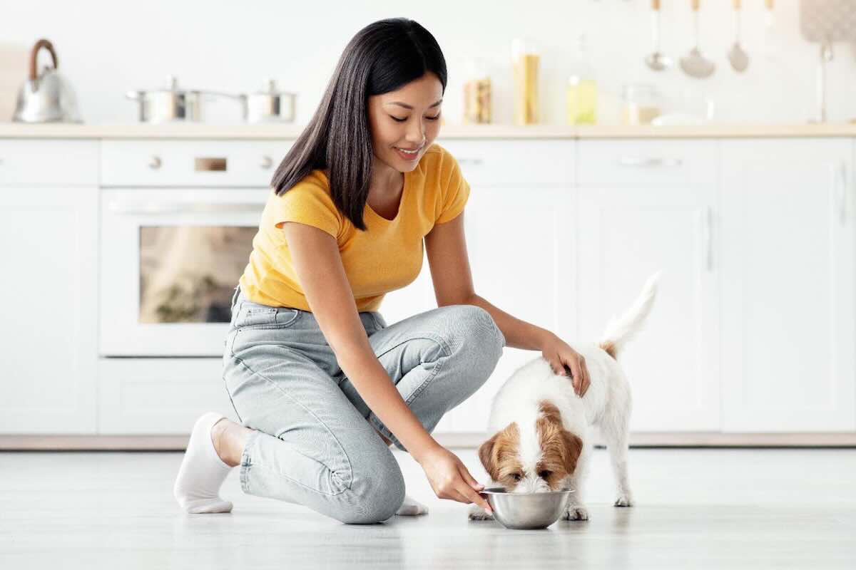 Pet food transparency and nutrition for dogs and pet parents
